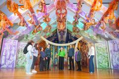 Introducing Te Papa Tour