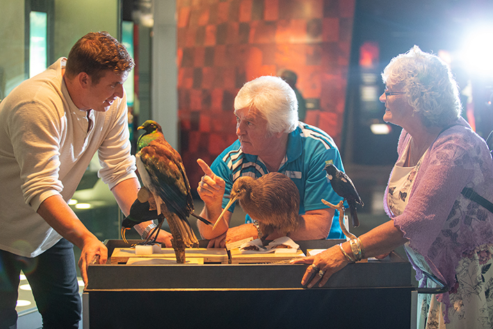 Introducing Te Papa Tour