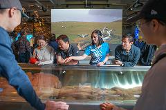  蒂帕帕亮点之旅 汉语 Te Papa Highlights in Mandarin: Daily
