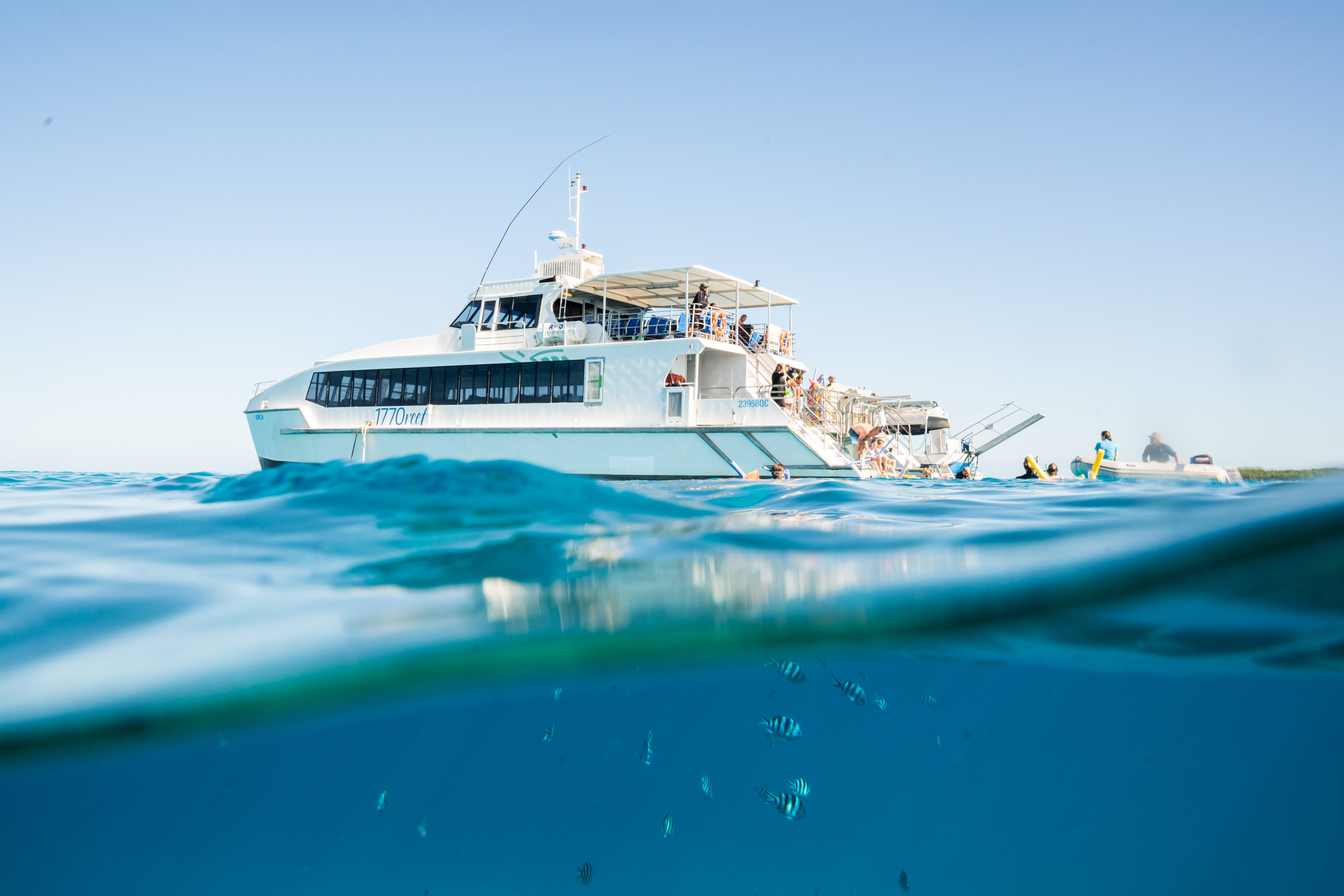 Day Tour to Lady Musgrave Island - (26/27)
