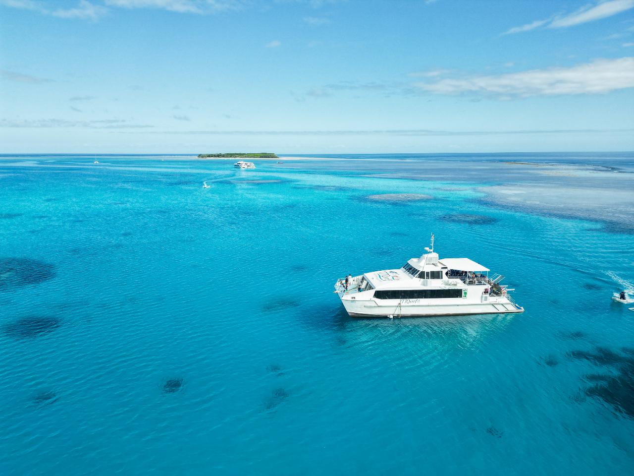 Day Tour to Lady Musgrave Island -  (24/25)