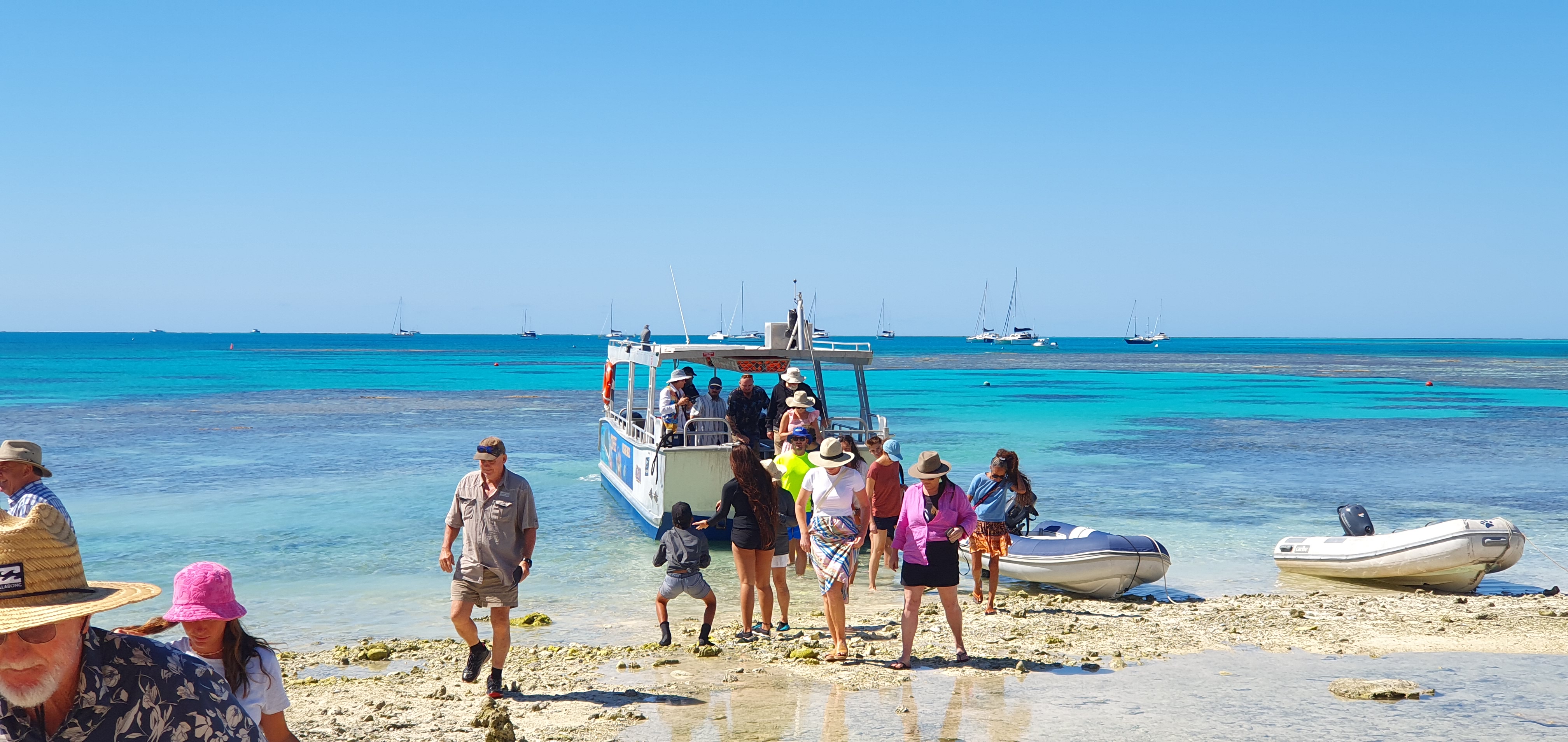 Day Tour to Lady Musgrave Island - (25/26)