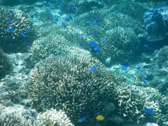 Underwater Camera Hire