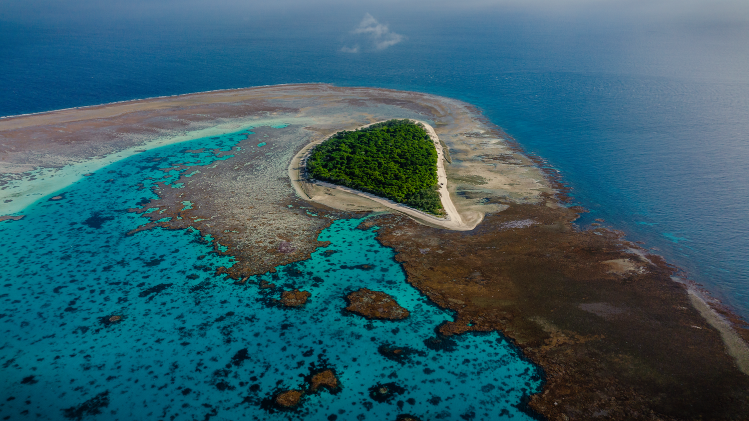 Day Tour to Lady Musgrave Island - (26/27)