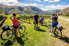 Bike the Wineries - Private Guided Tour