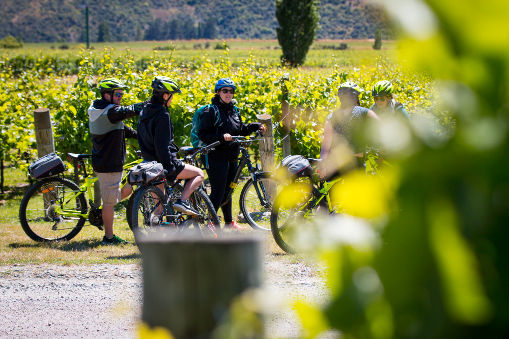 Bike the Wineries - Guided Tour