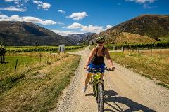 Bike the Wineries - Self Guided Tour