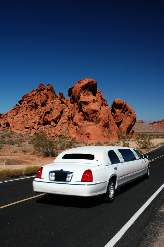 1.5  hour Famous Landmarks Limo Tour for up to 15 people