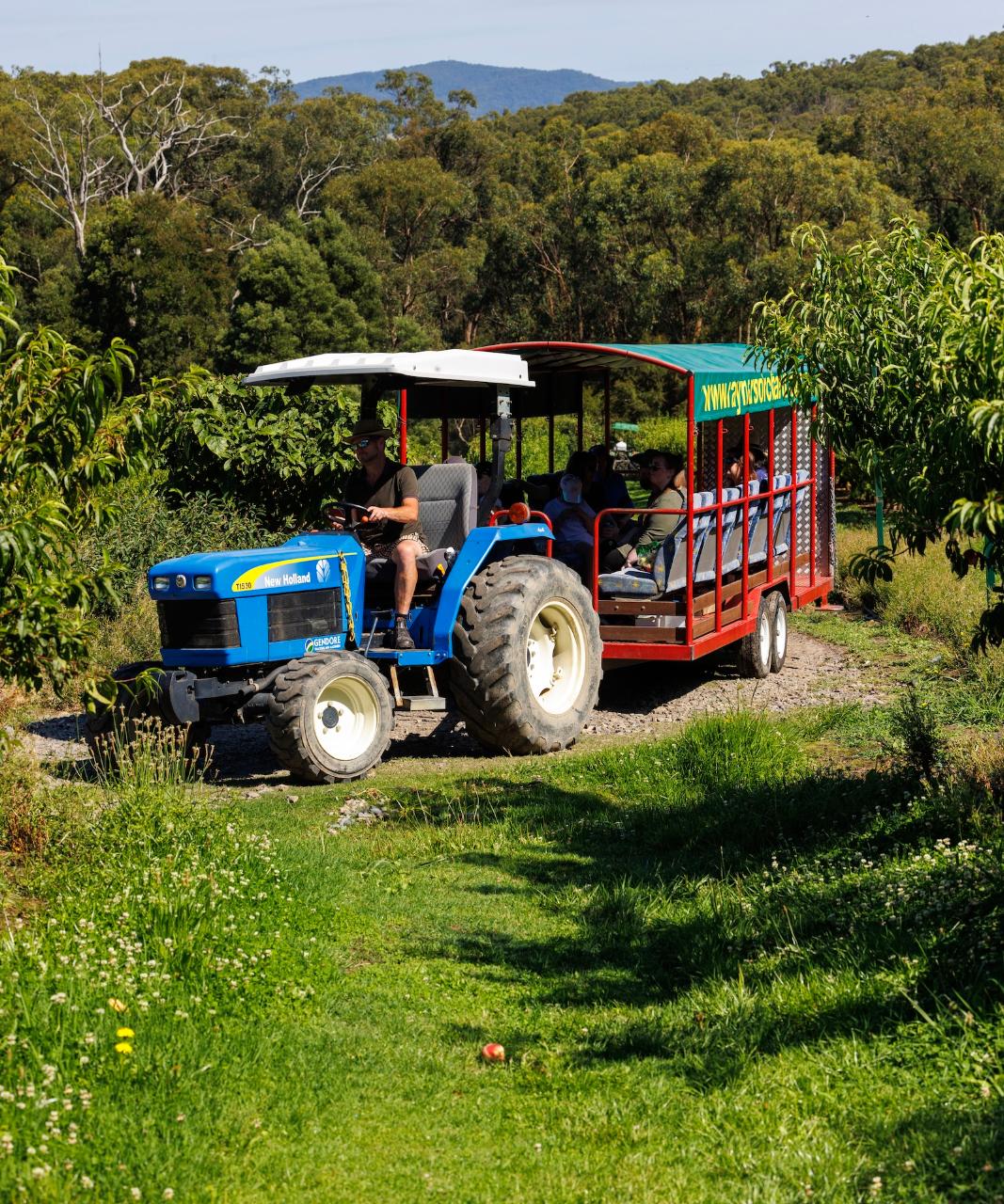 U Pick & Fruit Tasting Adventure Tractor Tours