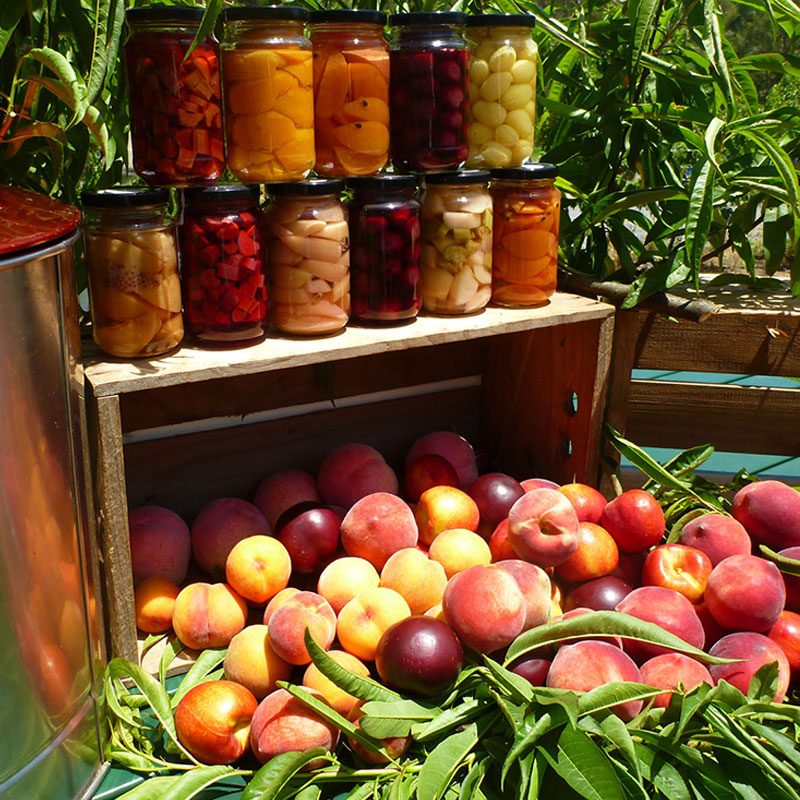 Fruit Bottling Workshops