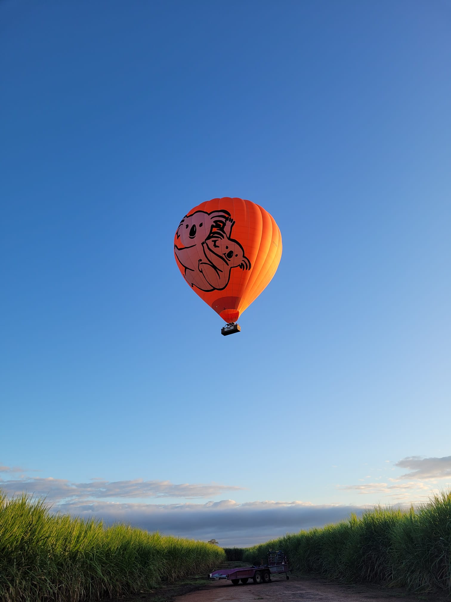 Port Douglas Luxury Hot Air Balloon experience