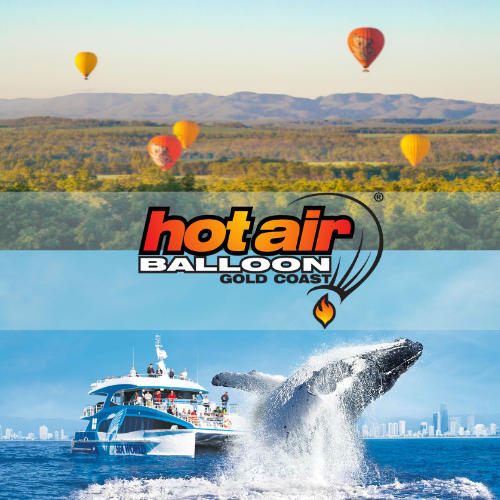 Gold Coast Classic Ballooning & Vineyard Breakfast with Whales 