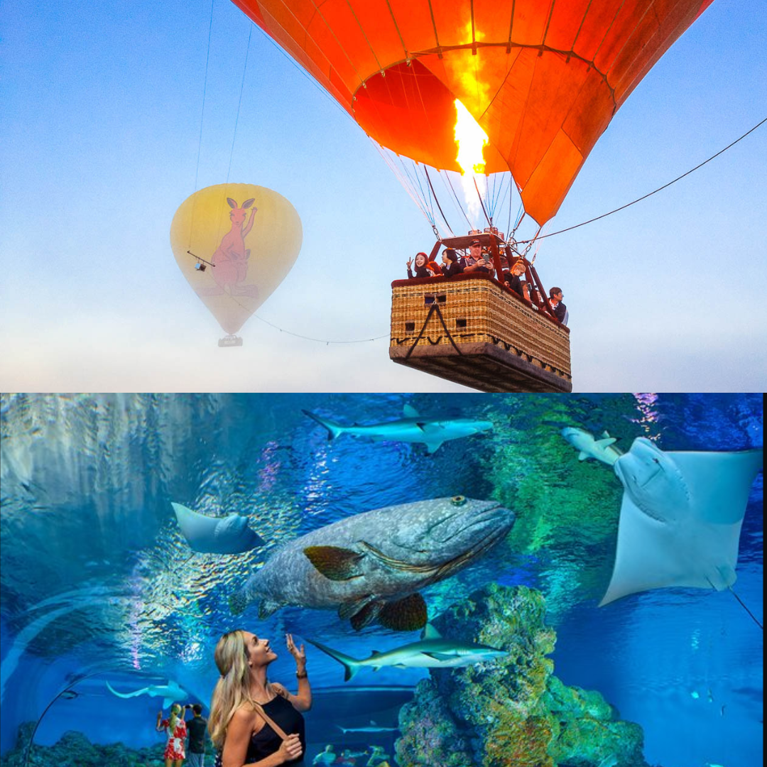 Cairns Classic Hot Air Balloon flight FREE Cairns Aquarium entry