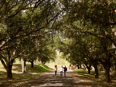 St Hugo & Grant Burge Legends of the Vines