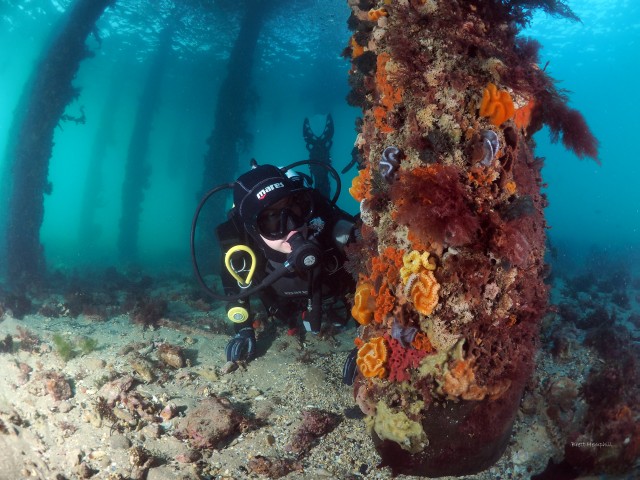 Canberra Day long-weekend Escape! - Dive Melbourne