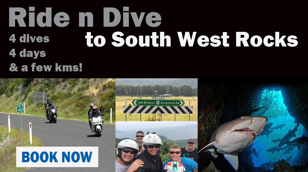 Ride n Dive trip to South West Rocks February 2019