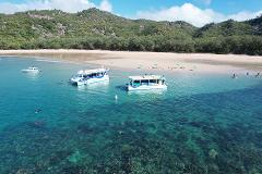 Townsville Departure Maggie Discovery Eco Tour 