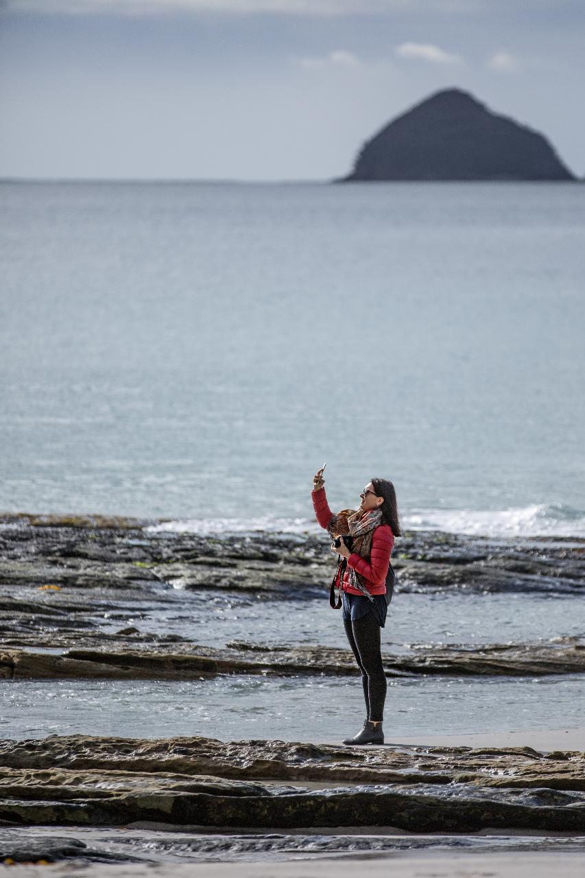 Bruny Island Private Group Tour: Lighthouse, Food & Wildlife Adventure