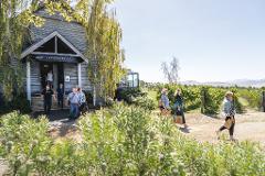 Coal River Valley Food and Wine Safaris