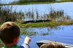 1 Hour Private Tour & Gator Park