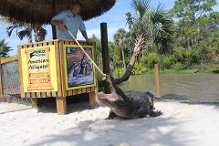 Gator Park Admission