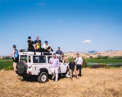 Vineyard Tour by car (Marlborough)