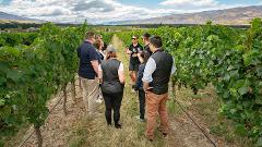 Vineyard Tour by car (Central Otago)