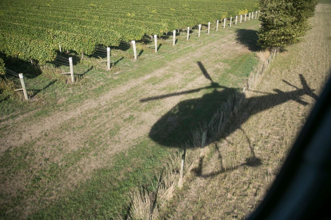 Helicopter Vineyard Tour (Marlborough)