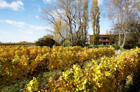 Tailor Made Tasting (Marlborough) - Cloudy Bay Vineyards Reservations