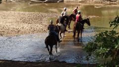 Horse Ride - Morning