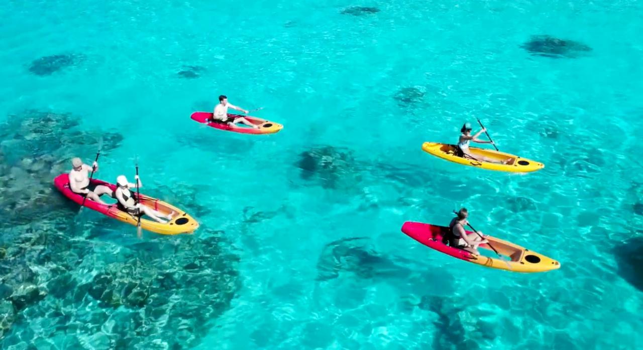 Glass Bottom Kayak Tours