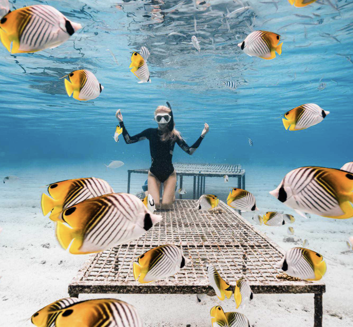 Premium Sea Scooter Lagoon Discovery