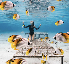 Premium Sea Scooter Lagoon Discovery