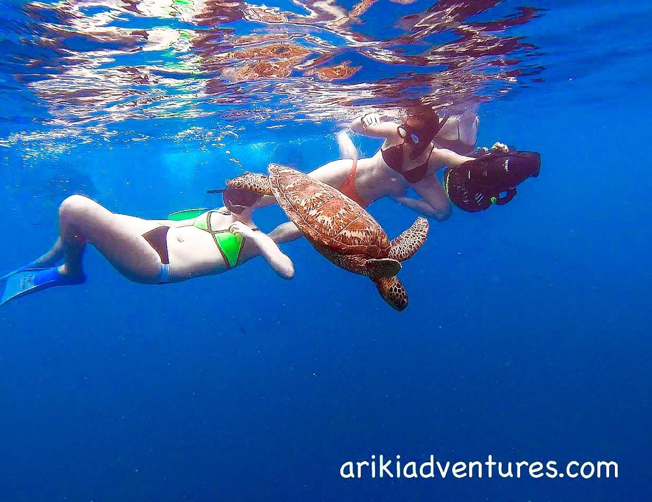 Turtle Sea Scooter Safari