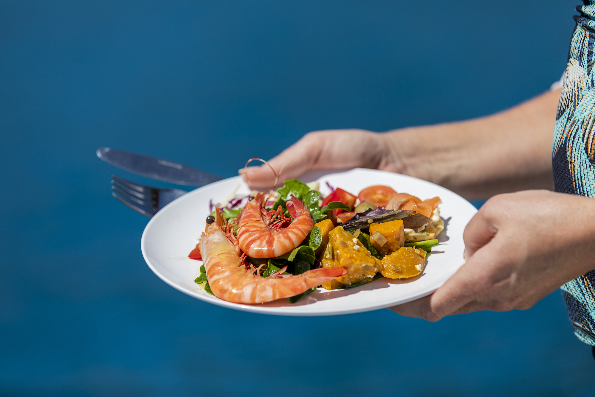Lady Enid Sailing - Whitehaven Beach