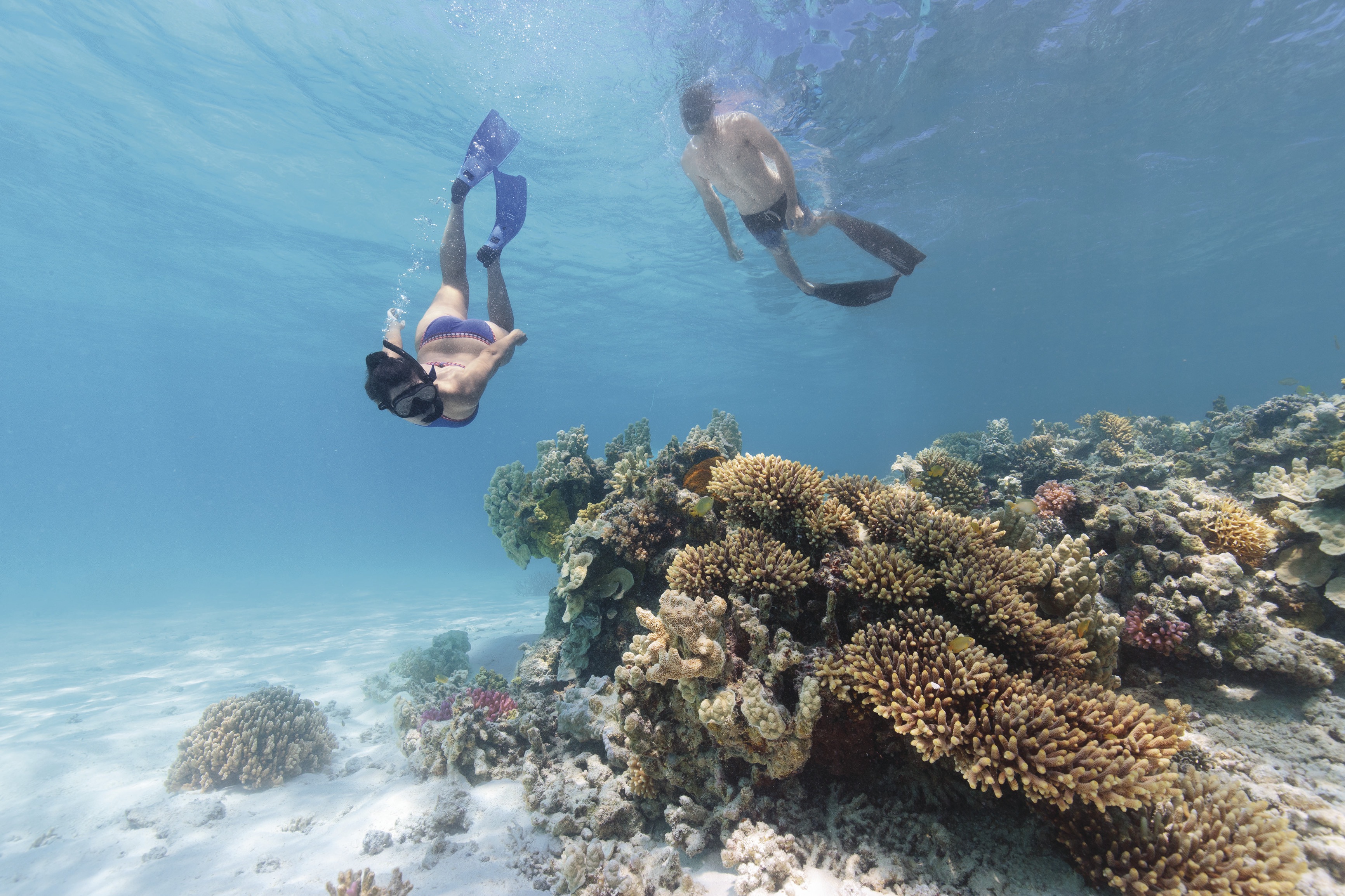 Lady Enid Sailing - Langford Island