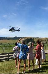 Wellington to Martinborough Wineries by Helicopter | Wellington Helicopters 