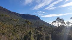 Half-day: kunanyi/Mt. Wellington - Guided Hiking Tour