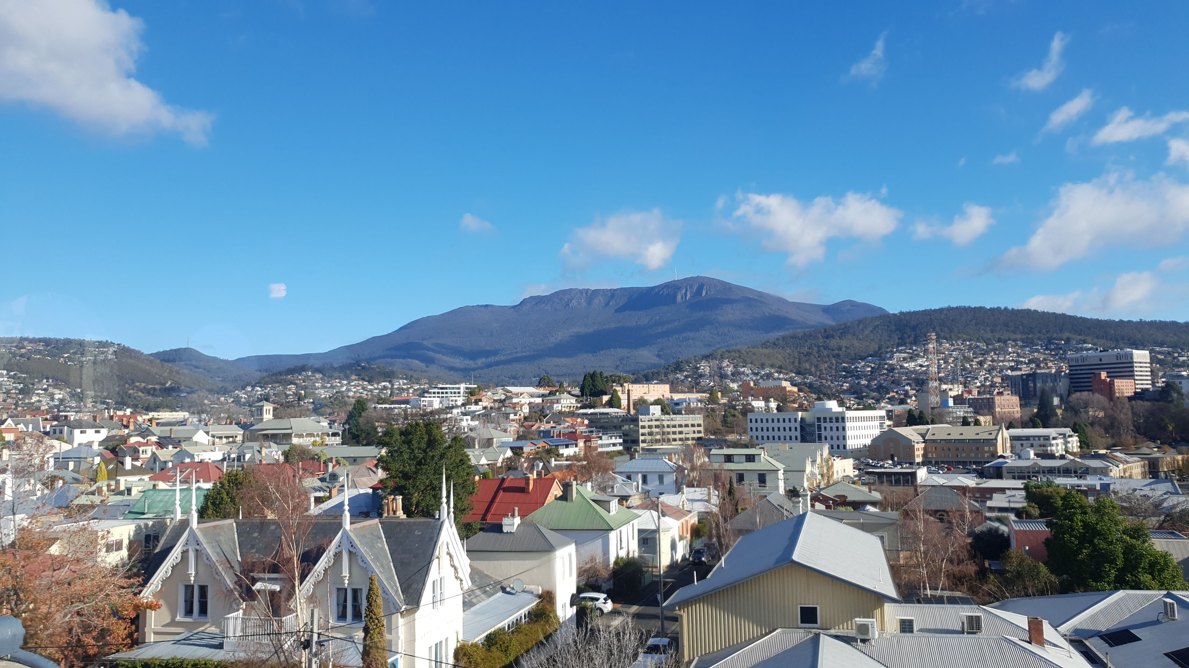 Mount Wellington Hike