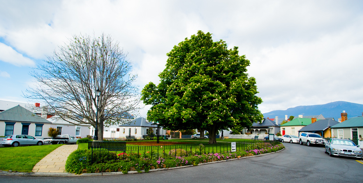 Private: Hobart Walking Tour (up to 6 guests)