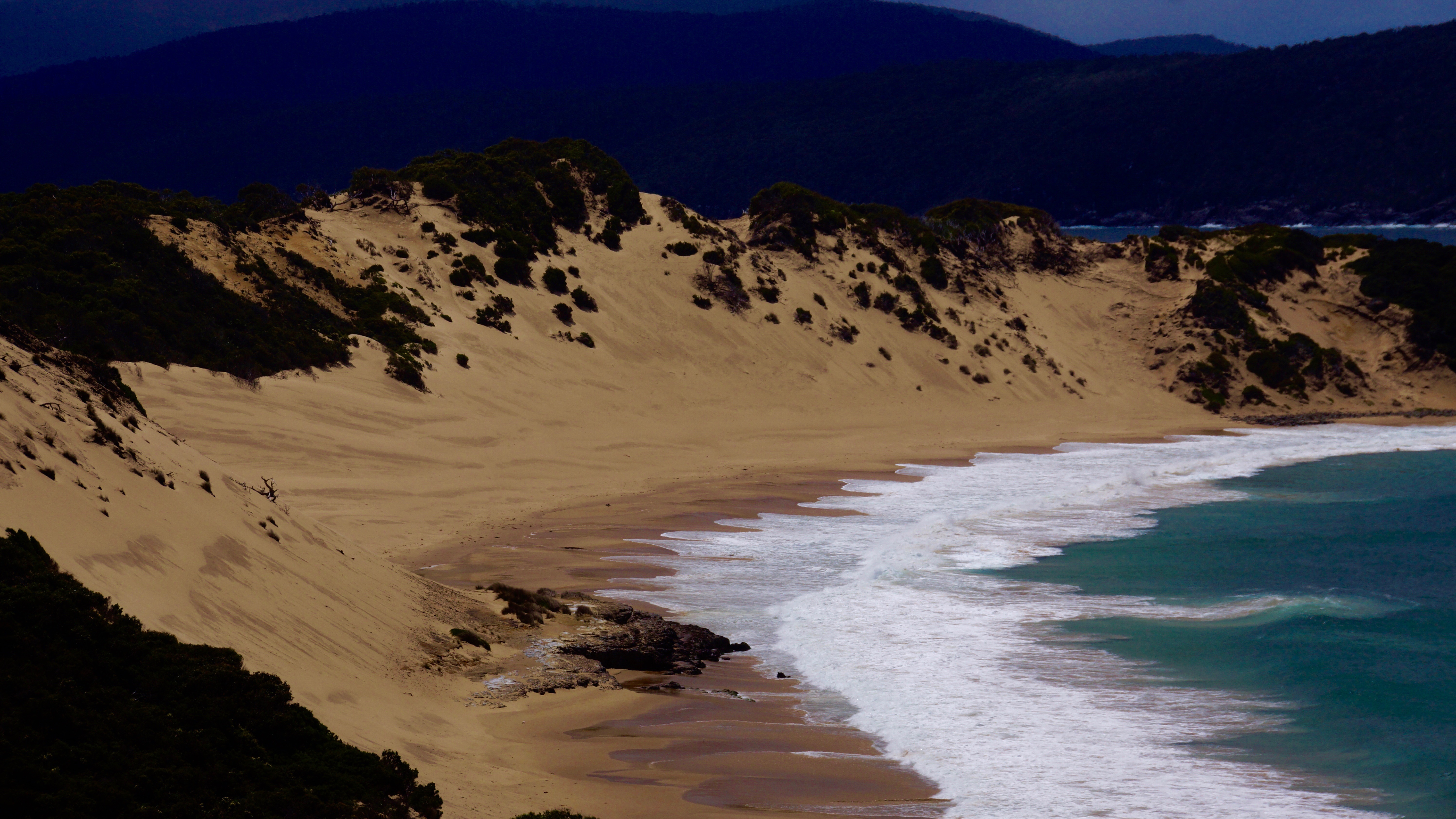 Tasman National Park: Guided Day Walks & Highlights