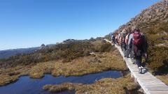 Private Tour: Mount Field National Park 