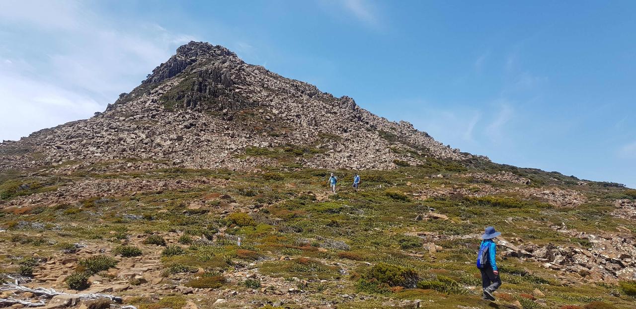 Hartz Peak Hiking Tour - Hartz Mountains National Park 