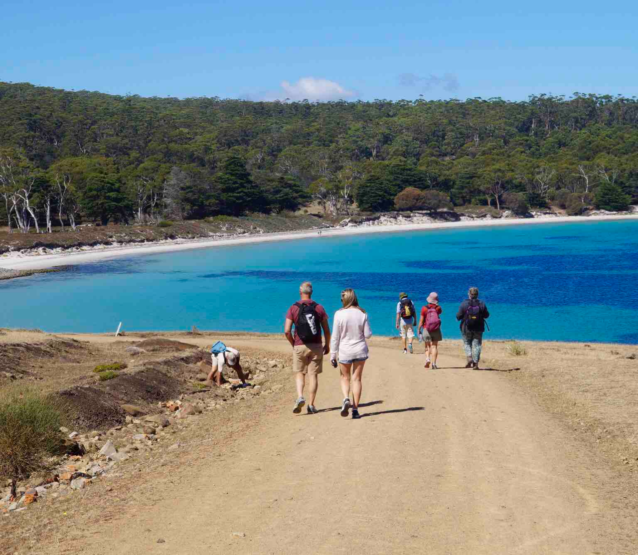 4 Day Option: See Tasmania Special: Wildlife Walks, Coastal & Mountain Hikes + Beer Walk
