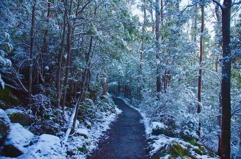 Mt. Wellington Winter Walk Tasmania Australia