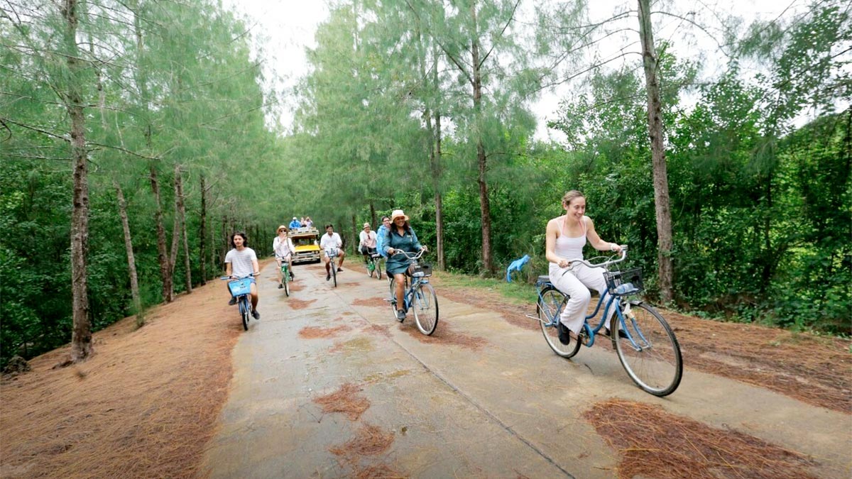 Full-Day Tour of Koh Yao Noi with Bike Ride & Lunch