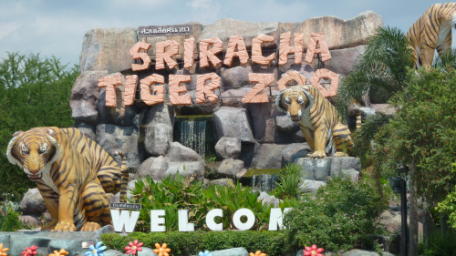 Tiger Zoo Park PM