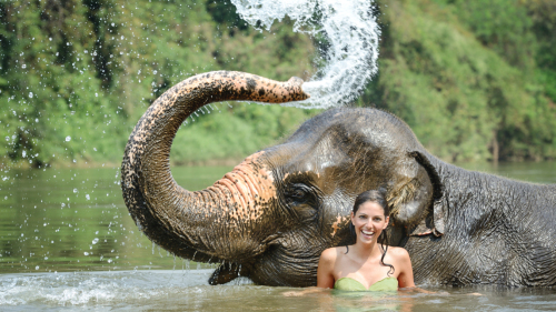 Elephant Trek & Bathing And Waterfall Khao Lak AM