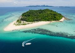 Explore Phi Phi and Bamboo Island by catamaran speedboat