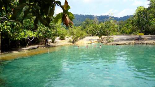 Krabi Rainforest Discovery Tour - Group from 6 Persons and above